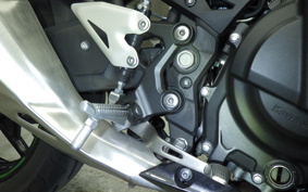 KAWASAKI NINJA 250 2023 EX250Y