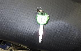 KAWASAKI ZX 1400 NINJA R A 2020