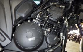 YAMAHA FZS25