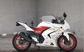 KAWASAKI NINJA250R EX250K