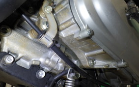 HONDA CREA SCOOPY 2024 AF55