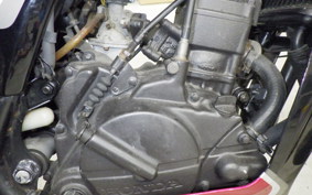 HONDA MBX50F