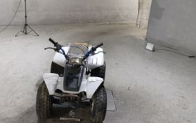 YAMAHA YF100M 3GB