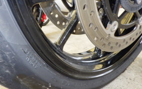 TRIUMPH SPEED TRIPLE RR 2024