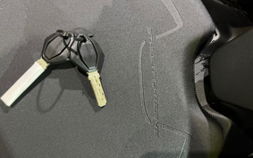 DUCATI STREET FIGHTER V2 2023 3F00