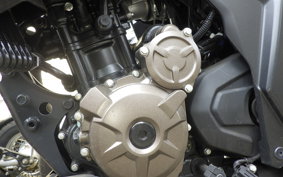 SUZUKI ｼﾞｸｻｰ250 2020 ED22Y