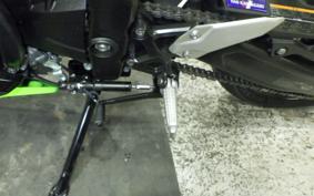 KAWASAKI ZX-4RR 2023 ZX400P