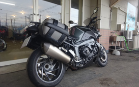 BMW K1300R 2010 0518