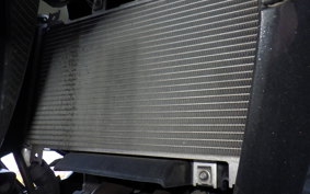 KAWASAKI NINJA 250 EX250P