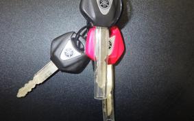 YAMAHA YZF-R7 2024 RM39J