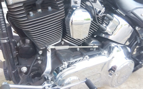 HARLEY FLSTC 2017 BWV