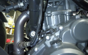 KTM 390 DUKE 2023