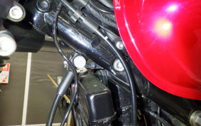 TRIUMPH SPEED TWIN 900 2023