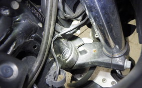 SUZUKI GSX250 R 2021
