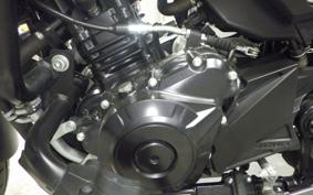 SUZUKI Vｽﾄﾛｰﾑ250A 2019