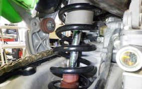 KAWASAKI KX250 2025 KX252C