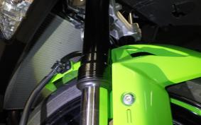 KAWASAKI NINJA ZX-6R A 2019 ZX636G