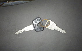 YAMAHA VIRAGO 250 3DM