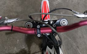 BETA Evo 2T250 ..
