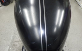 KAWASAKI W800-2ｽﾄﾘｰﾄ 2019 EJ800B