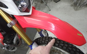 HONDA CRF250L 2006 MD38