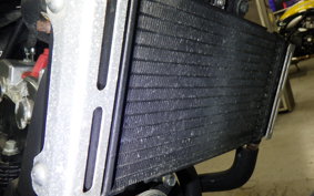 HONDA HORNET 250 MC31