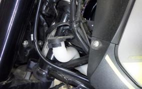BENELLI レオンチーノ250 2020