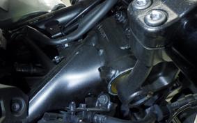 HONDA NX400 2025 NC65