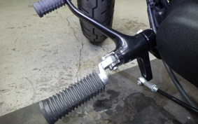 OTHER +HD. XL1200X 2022