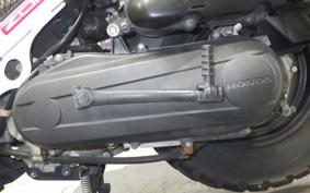 HONDA ZOOMER AF58