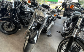HARLEY  HARLEY FLFBS 2018 YGK