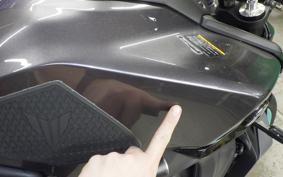 YAMAHA MT-09 2024 RN87J
