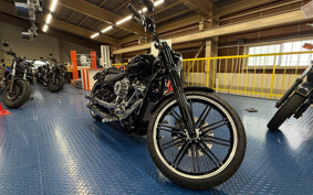HARLEY FXBRS 2021 YHK