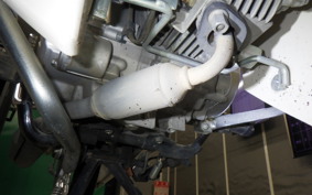 HONDA C50 SUPER CUB 2009 AA09