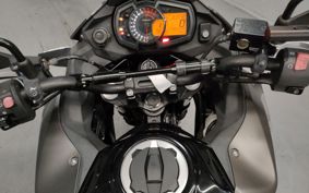 KAWASAKI  VERSYS X250 TOURER  LE250D