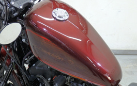 HARLEY XL1200NS 2019 LP3