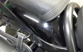 HONDA REBEL 250 2013 MC49