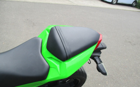 KAWASAKI NINJA 250 EX250L