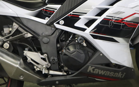 KAWASAKI NINJA 250 EX250L