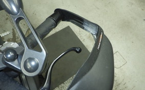 KAWASAKI ZH2 2020 ZRT00K