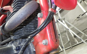 HONDA XL125R 2025 JD04