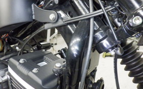 HARLEY XL1200C 2006
