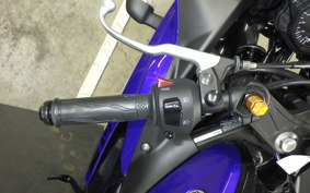 YAMAHA YZF-R25 RG43J