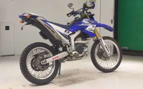 YAMAHA WR250R 2021 DG15J