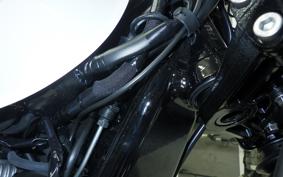 KAWASAKI W800 2026 EJ800E