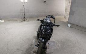 KAWASAKI Z1000 2020 ZXT00W