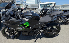 KAWASAKI NINJA 250 EX250Y