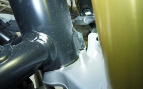 BMW R12 nine T 2024