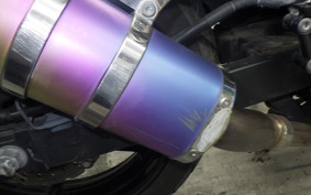 KAWASAKI NINJA 250R 2006 EX250K