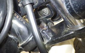KAWASAKI 250TR 2020 BJ250F